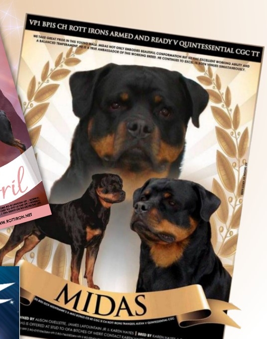 The Rottweiler Chronicle Rott Iron Rottweilers