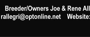 Click here to email Brandy Hills Rottweilers