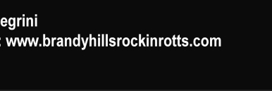 Brandy Hills Rockin Rottweilers       