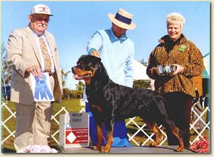 BIS, BISS CH Overnight Express Von Hobson, BH 