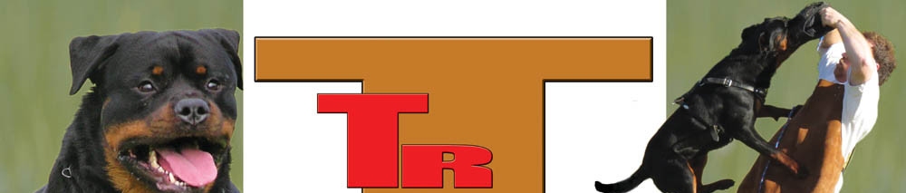 Click to Subscribe