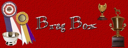 brag_title.jpg (32582 bytes)