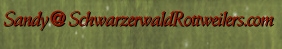 Click here to email Schwarzerwald Rottweilers