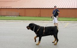 CLICK ON IMAGE FOR LARGER VIEW