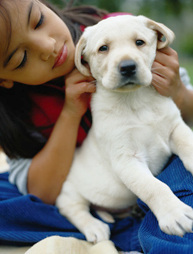 10 Tips On How To Photograph Your Dog