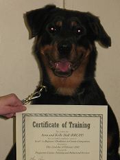 Rescued Rottweilers United with Friends and Family, Inc. Presents