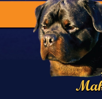 CLICK HERE TO VISIT SIERRA GOLD ROTTWEILERS WEBSITE!