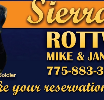 CLICK HERE TO VISIT SIERRA GOLD ROTTWEILERS WEBSITE!