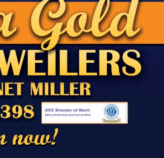 CLICK HERE TO VISIT SIERRA GOLD ROTTWEILERS WEBSITE!