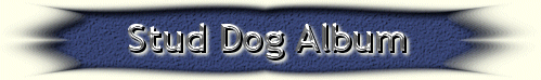 Stud Dog Album