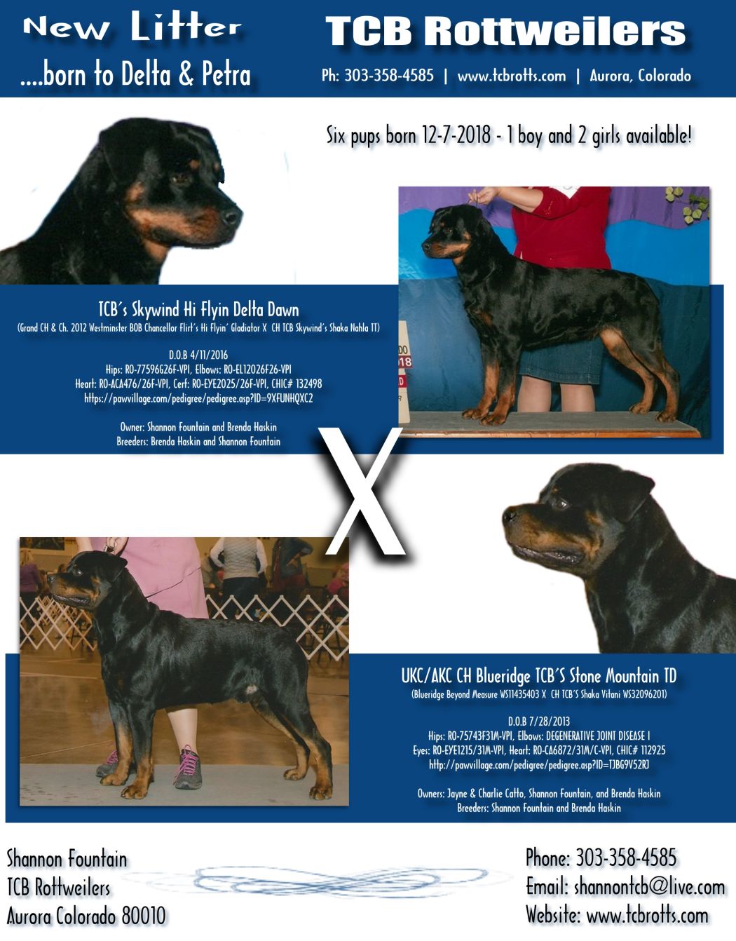 TCB Rottweilers