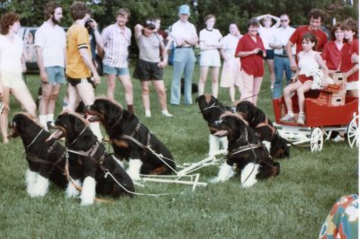 The Rodsden Budweiler Wagon