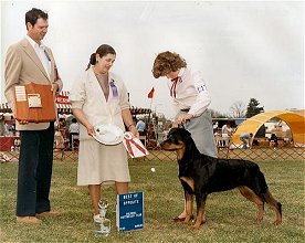 CH. DOROH�S JUST GRAND, TD