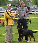 Norsk Rottweiler Klubb