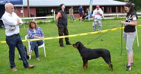Norsk Rottweiler Klubb