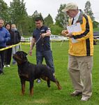 Norsk Rottweiler Klubb