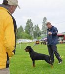 Norsk Rottweiler Klubb
