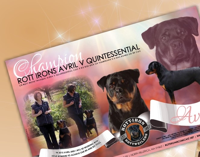 The Rottweiler Chronicle - Rott Iron Rottweilers