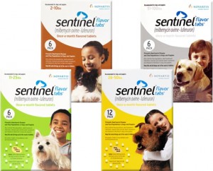 Sentinel_large from www.serenityanimalhospital.net
