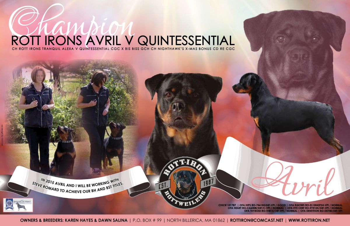 The Rottweiler Chronicle - Rott Iron Rottweilers